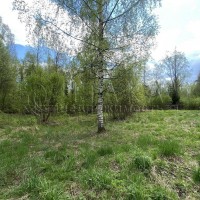 Пальцево