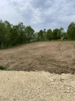 Волхонское