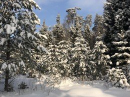 Кубинка