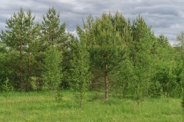 Четверяково
