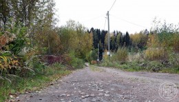 Березовая Долина