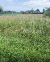 Пашково, Пашково-2, 79