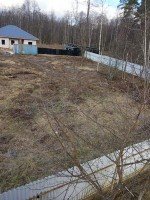 Медвежьи Озера, Лесная