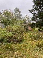 Белоостров, Нева-2, к.нт.