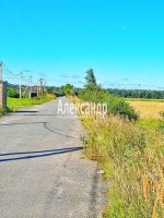 Павловск, Пушкинская