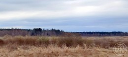 Староселье