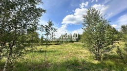 Белоостров, Серебряный Ручей, 12