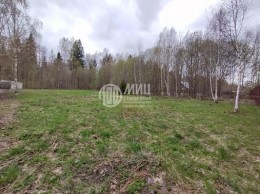 Шаховская, Степаньково, Роса, к.НТ