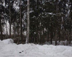 Красногорск, Поздняково, Липка, к.ПК