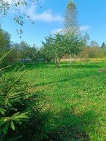 Алексеевка, Калинка, Нарциссовая