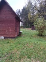 Борисово д ДНТ Журавли