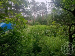 Всеволожск, Герцена, 180