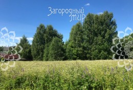 Клин, Ногово