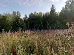 Свирьстрой, Клинцовая Кара