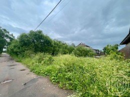 Петергоф, Луговая