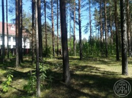 Всеволожск, Южное