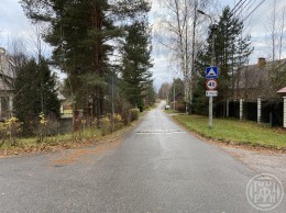 Парголово, Санаторный (Осиновая Роща)