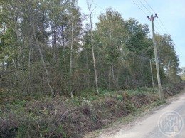 Агалатово, Приозерское