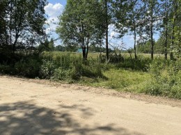 Талдом, Ольховик