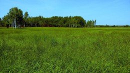 Истра, Воронино, Онегино