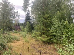 Сарженка, Деревенская