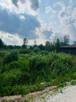 Ликино-Дулёво, Транспортная
