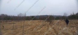 Можайск, Павлищево, Школьная