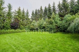 Красногорск, Ильинское, Колхозная