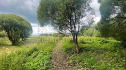 Сосницы