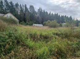 Раздолье, 396