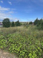Дмитров, Ульянки, дачного поселка Аусбург