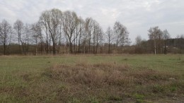 Осеченки, Осенняя
