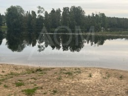 Хвойное д ДНТ Хвойное