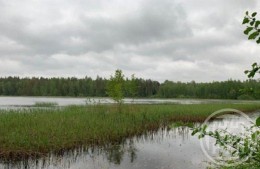 Ханнила, к.нт.