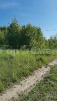 Грибки, 306