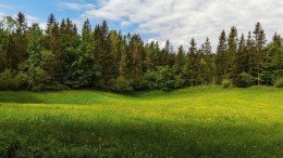 Истра