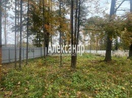 Моторное п ДПК Пригородное