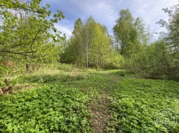 1-я Утиная