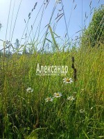 Старосиверская, Сиверский, к.НТ