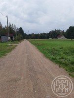 Черничное, Васильевская