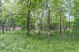 Руза, Лызлово, 18