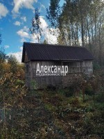 Селезнево, Тихий