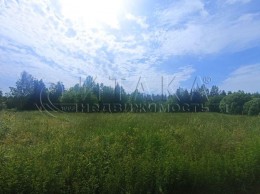 Большое Поле