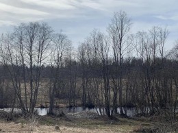 Устье