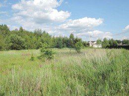 Павловский Посад, Носырево, Цветочная