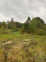 Сертолово, к.нт