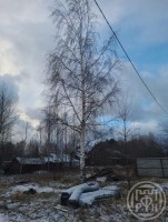 Лебяжье