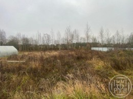 Лепсари