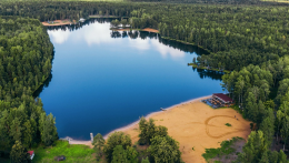 Крокус