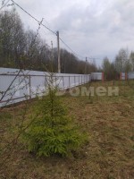 Шаховская, Щемелинки, Туманная